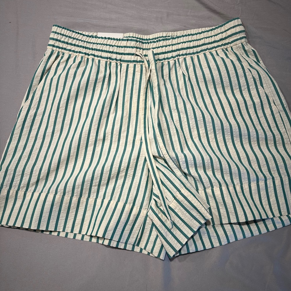 Banana Republic Green and White Striped Shorts